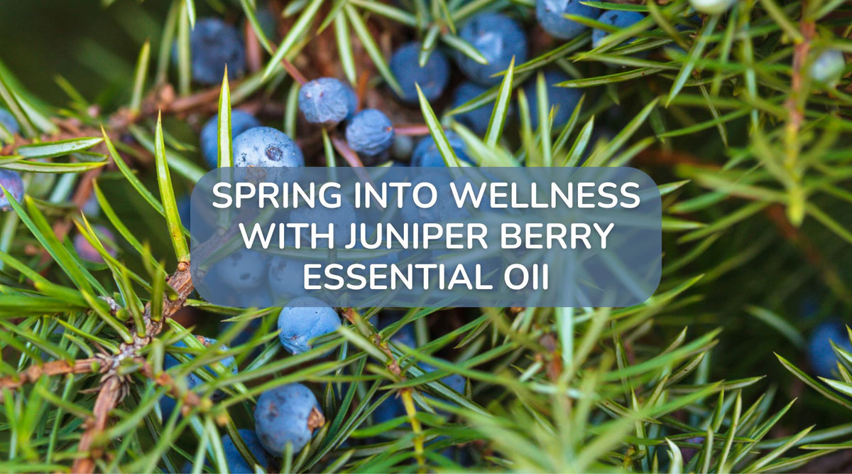 Spring into Wellness with Juniper Berry Essential Oil – APOTHECARY SHOPPE