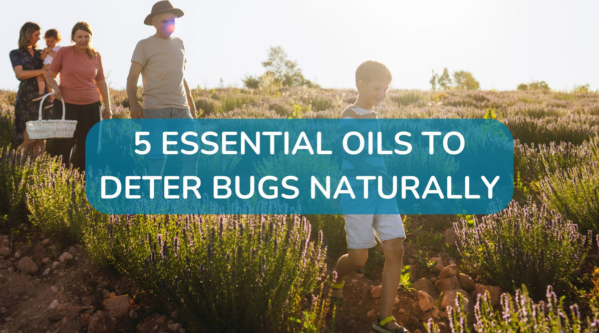 5 Essential Oils to Deter Bugs Naturally – APOTHECARY SHOPPE