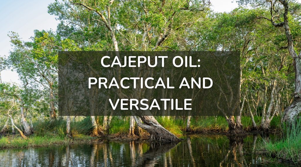 A Guide to the Practical and Versatile Properties of Organic Cajeput Essential Oil