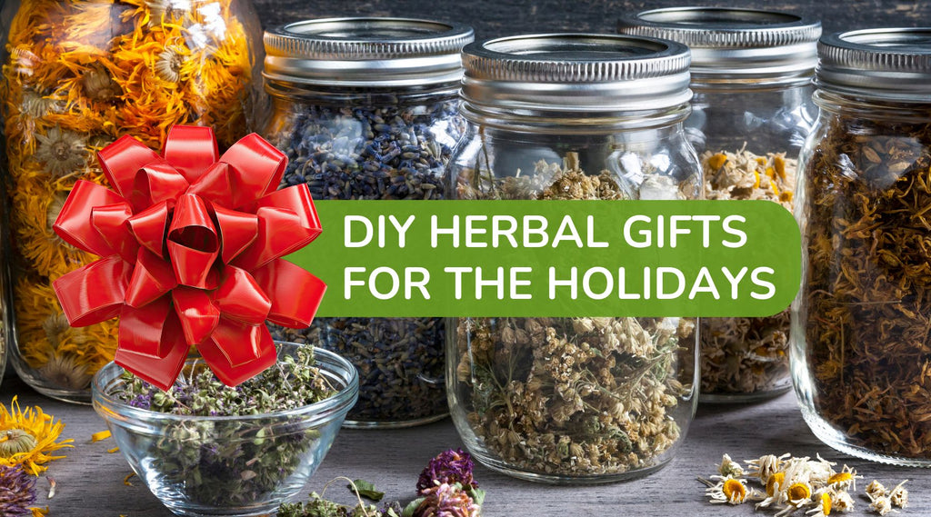 Dried herbs in jars and a red holiday bow