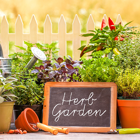 Organic Gardening