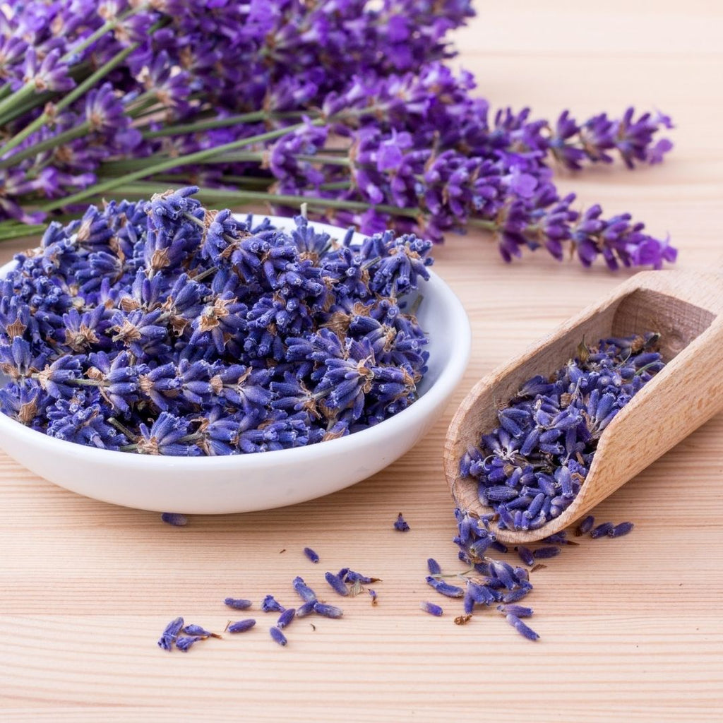 Lavender Oil for Pets