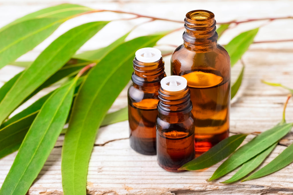 Facebook Favorite Essential Oils