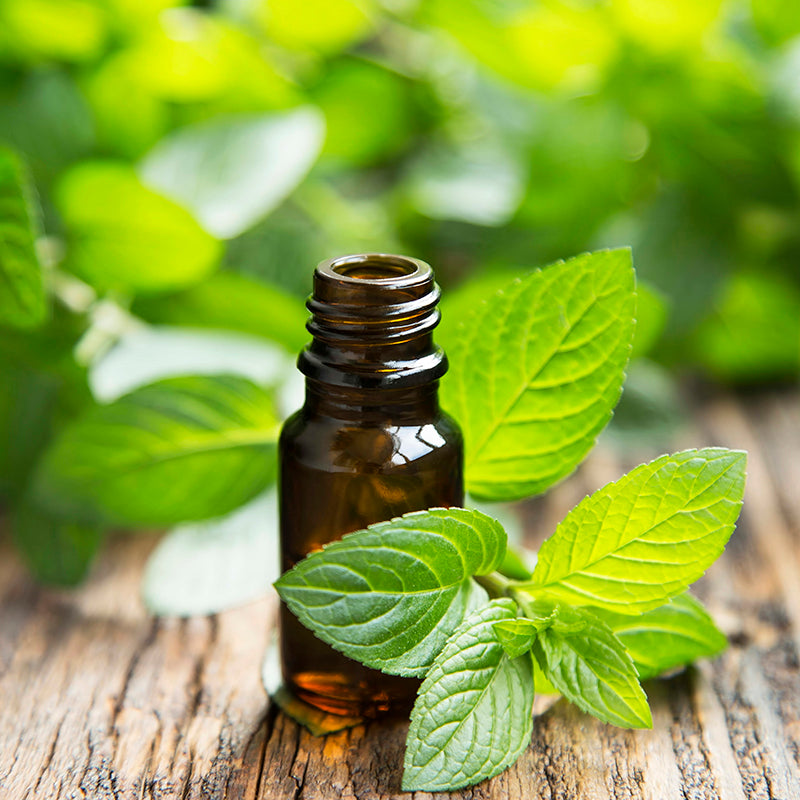 Peppermint Gift Collection