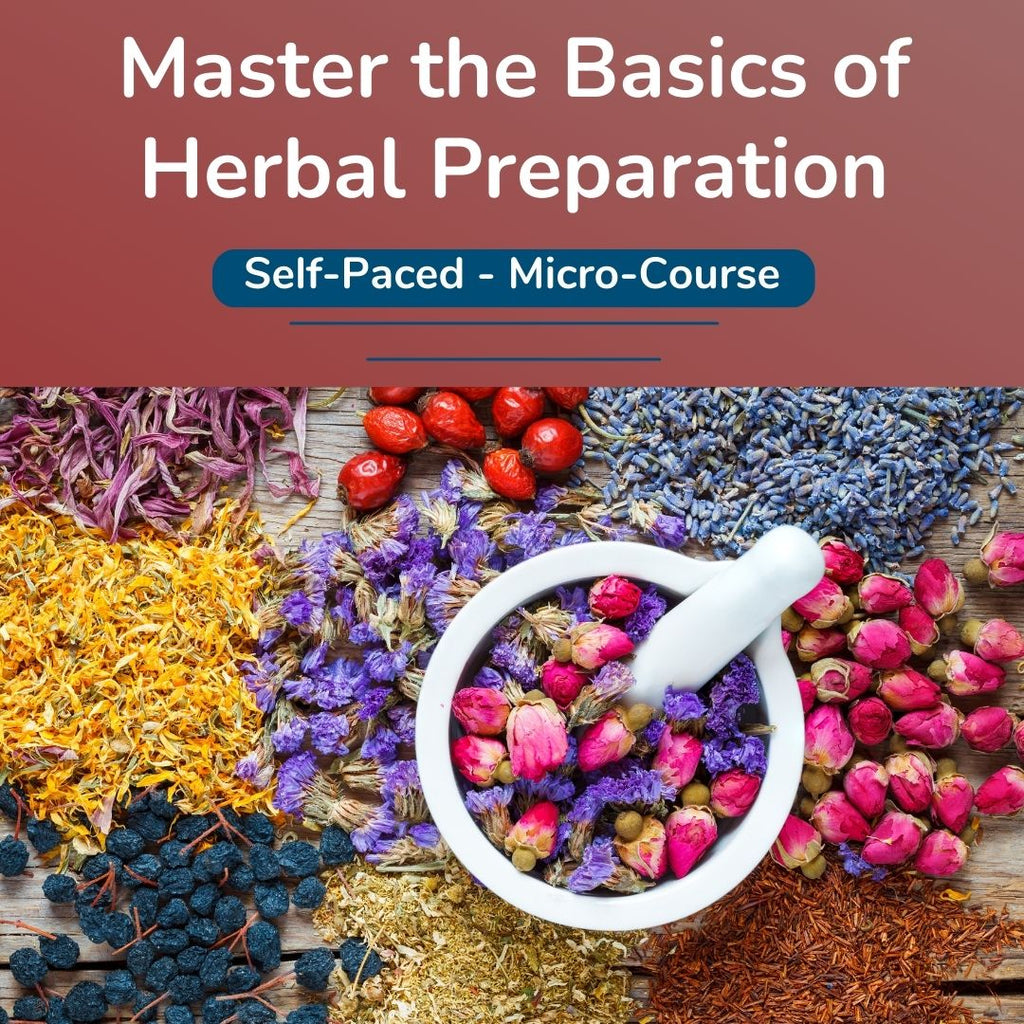 Master the Basics of Herbal Preparation