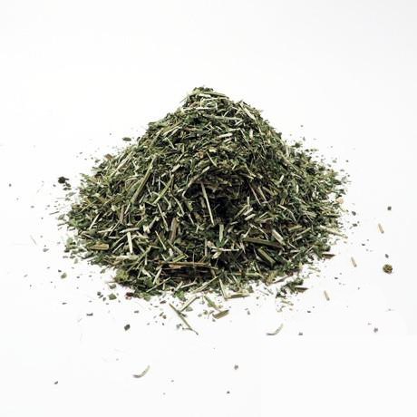 Bugleweed Herb Organic