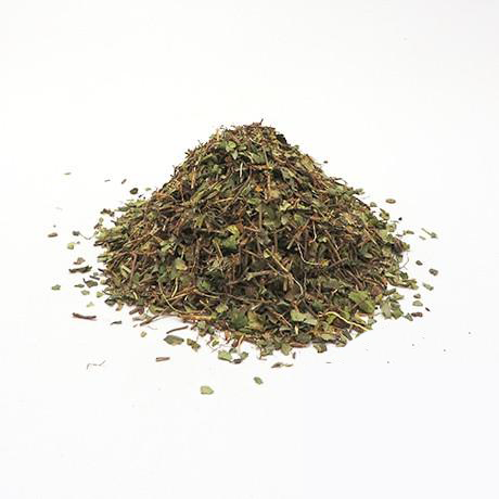 Partridge Berry Herb