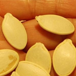 Pumpkin Seed Organic