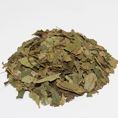 Witch Hazel Leaf Organic